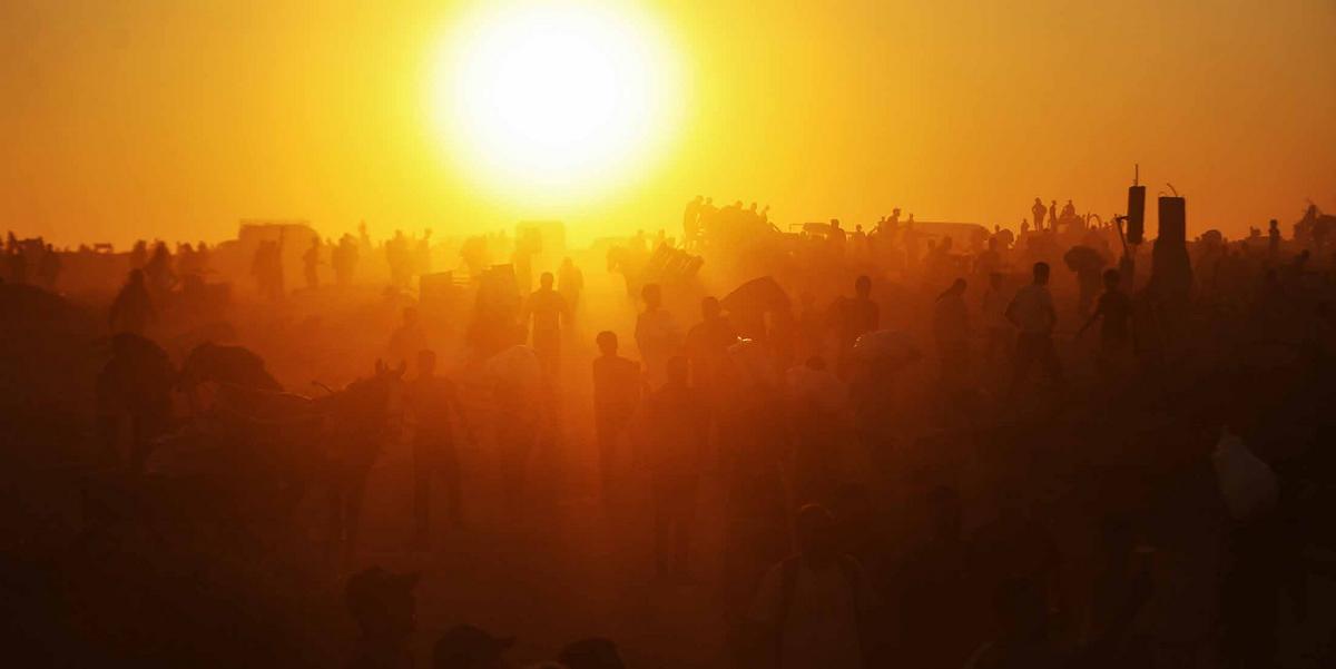 توزيع المساعدات الإنسانية، التي أُدخلت عبر معبر نتساريم الواقع وسط قطاع غزة، على الفلسطينيين الذين يكافحون للبقاء على قيد الحياة تحت وطأة الهجمات الإسرائيلية والأزمة الإنسانية الخانقة. فيما تجمّع عدد كبير من الفلسطينيين الذين يعانون من نقص حاد في الغذاء عند نقطة التوزيع للحصول على الطرود التي أرسلتها منظمات الإغاثة.
